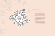 30 Hand Drawn Floral Elements, a Decorative Illustration by By Kerri Ann (Thumbnail 3 of 6)
