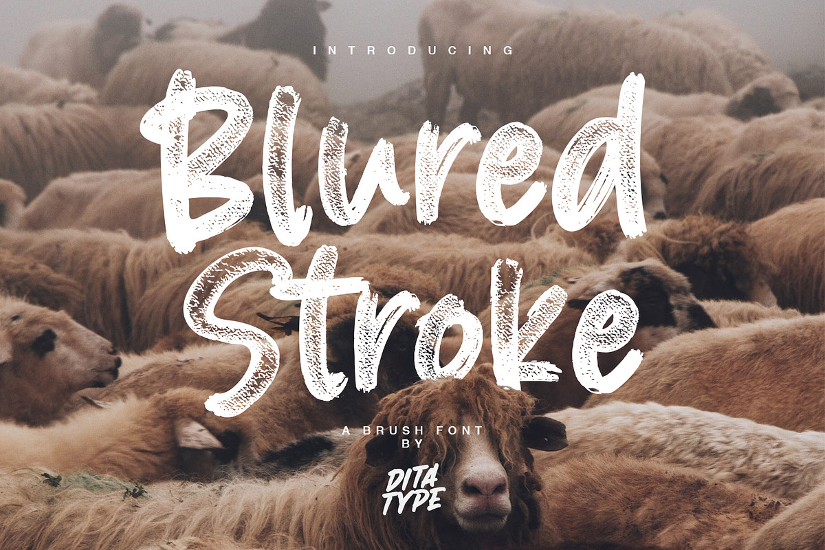 Blured Brush, a Script Font by Ditatype (Photo 1 of 10)