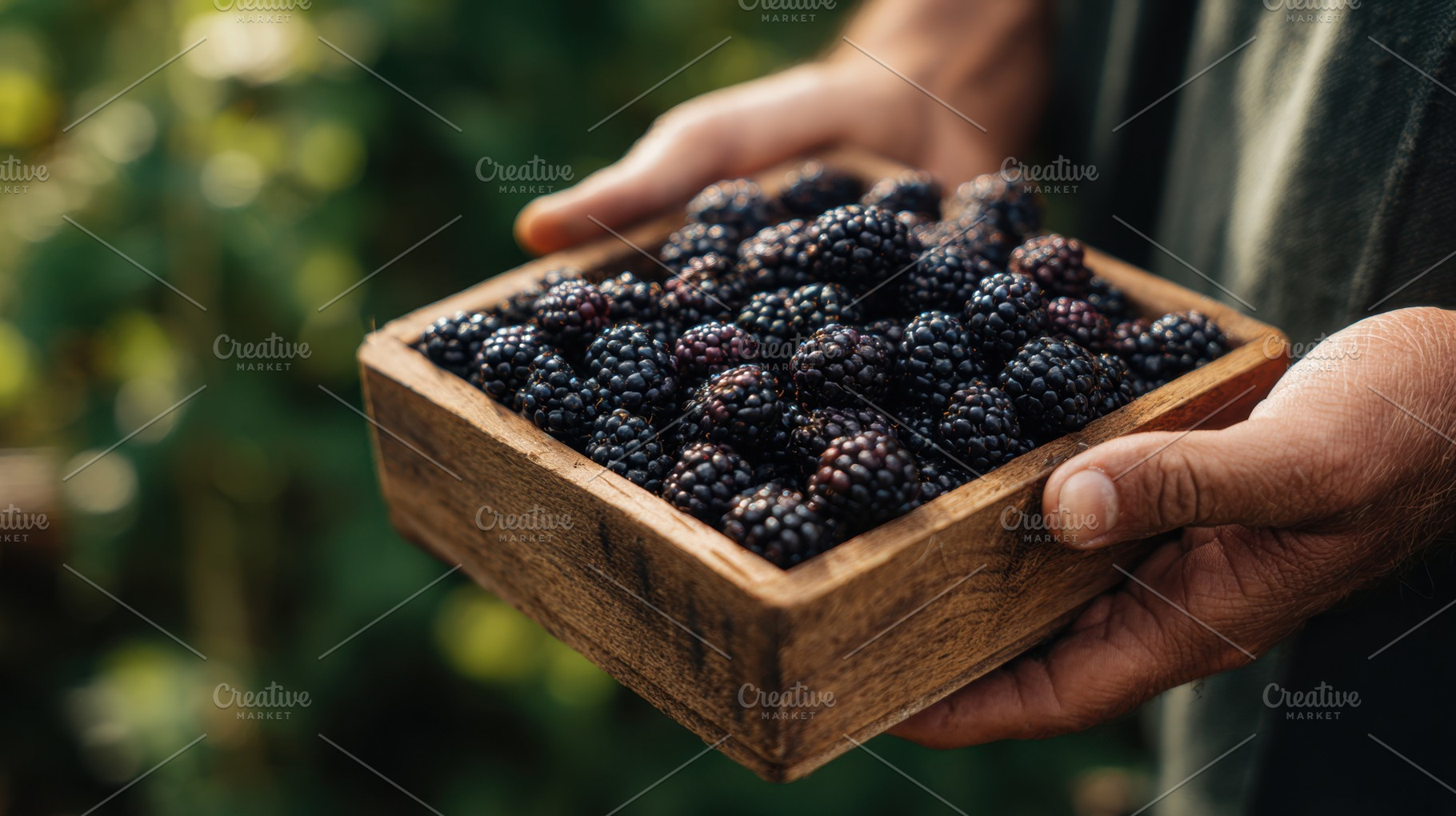 Blackberry harvest from the garden, a Photo by Beautiful things