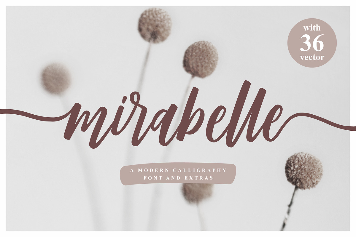 Mirabelle - Modern Script + Extras