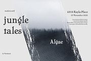 Algae Modern Serif Font, a Serif Font by Voleshads (Thumbnail 3 of 9)