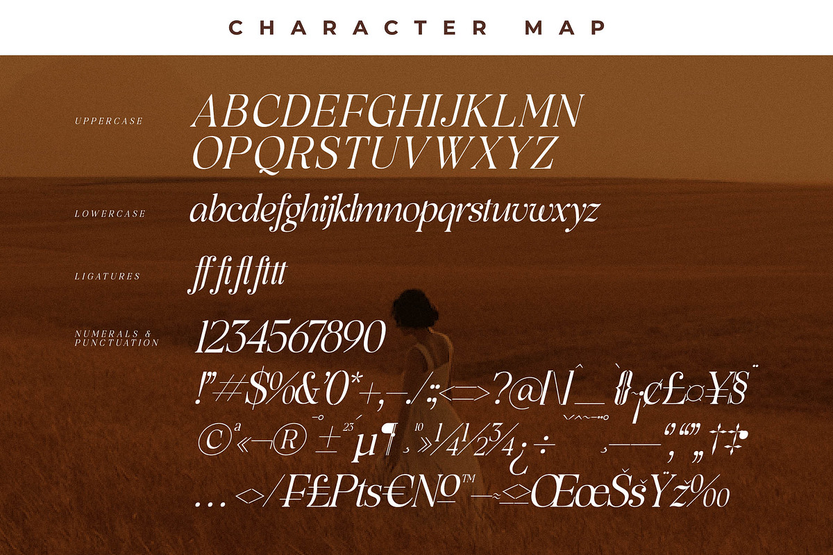 Rowfinde Modern Serif Font, a Serif Font by Storytype Studio (Photo 14 of 15)