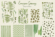 Greenery & Ferns PNG Illustrations, a Decorative Illustration by whiteheartdesign (Thumbnail 18 of 19)