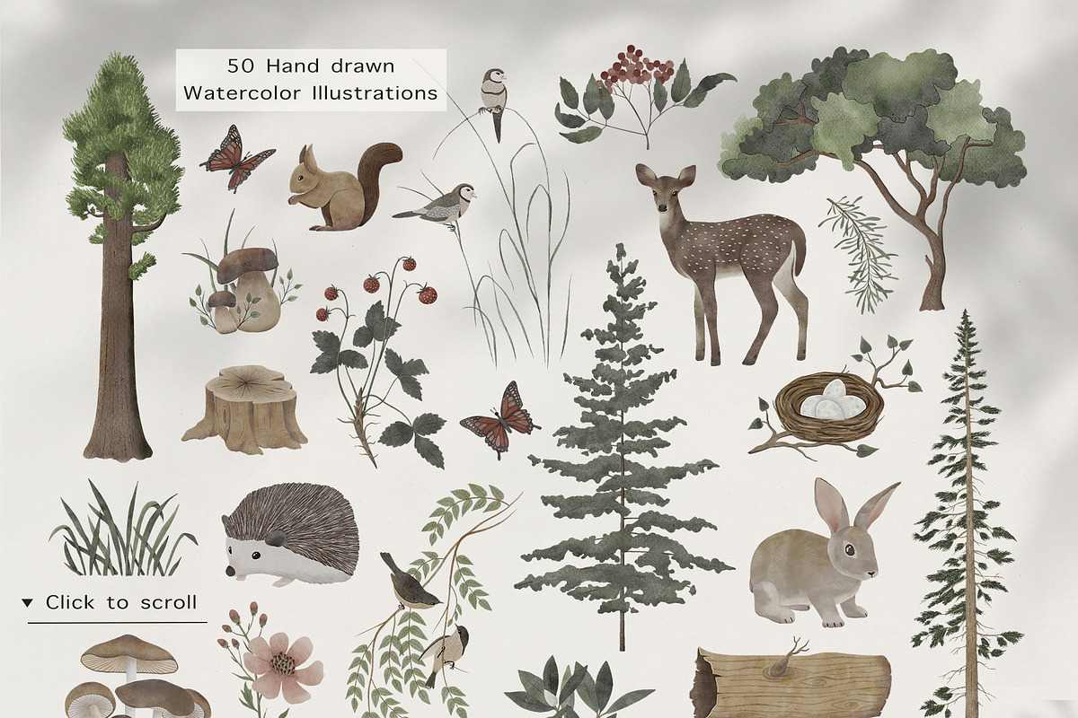 Watercolor Forest Collection, a Decorative Illustration by ApetekMarket (Photo 2 of 14)