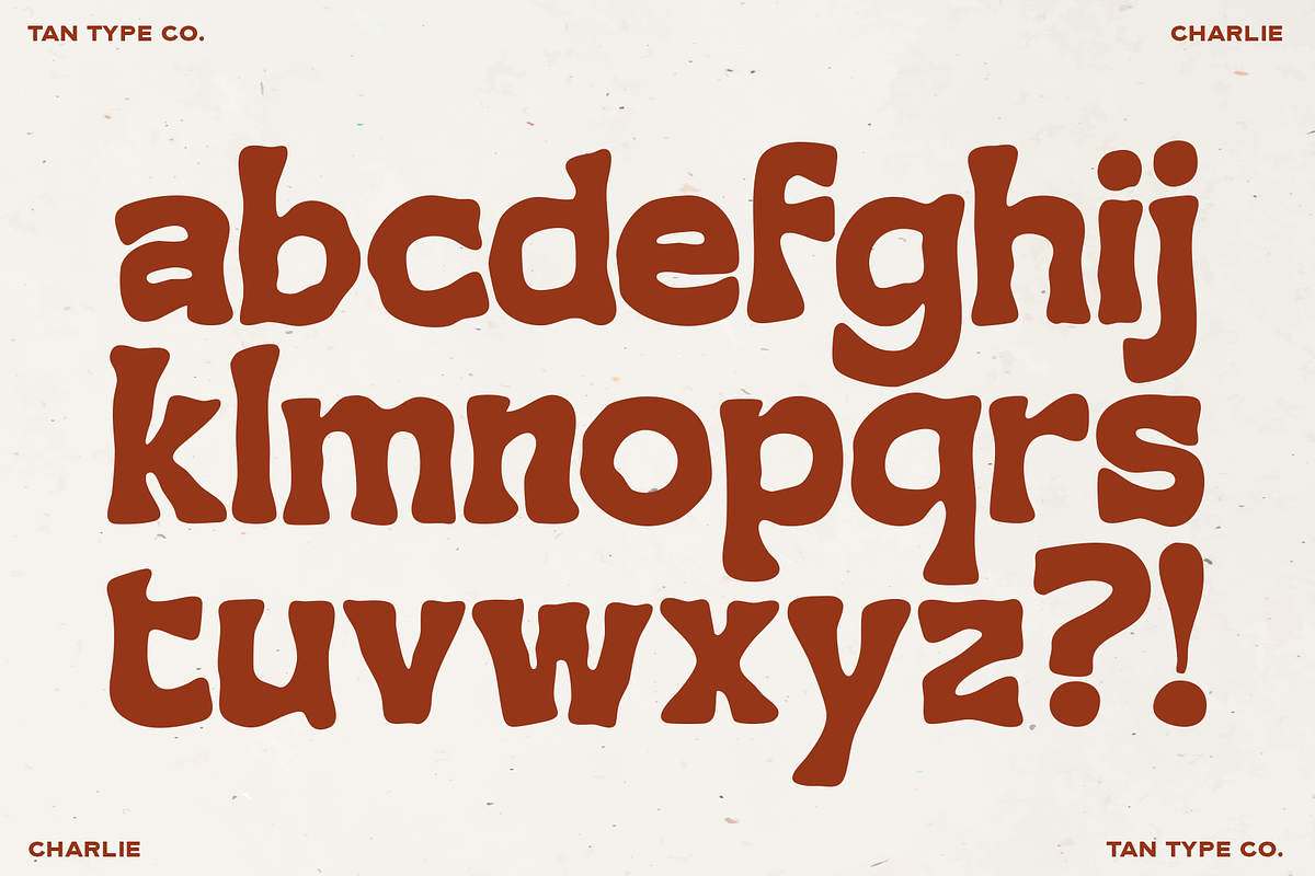 TAN - CHARLIE, a Handwritten Font by TanType (Photo 10 of 14)