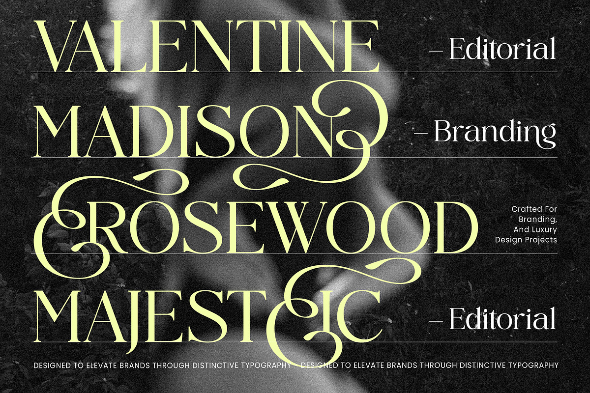 Midnight Cafe Society Elegant Serif, a Serif Font by AmorfaType (Photo 7 of 8)