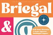 Briegal Modern Bold Serif Font, a Serif Font by timelesstype.co (Thumbnail 1 of 20)