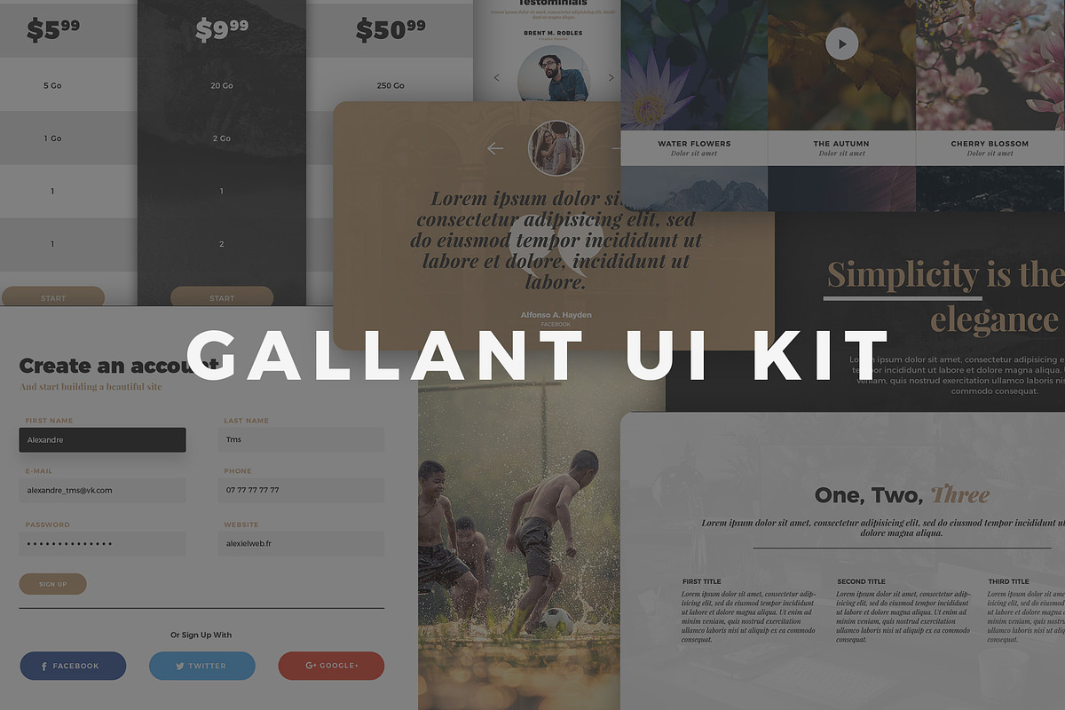 Gallant UI Kit, an UI Kit Template by alexandretms (Photo 1 of 7)