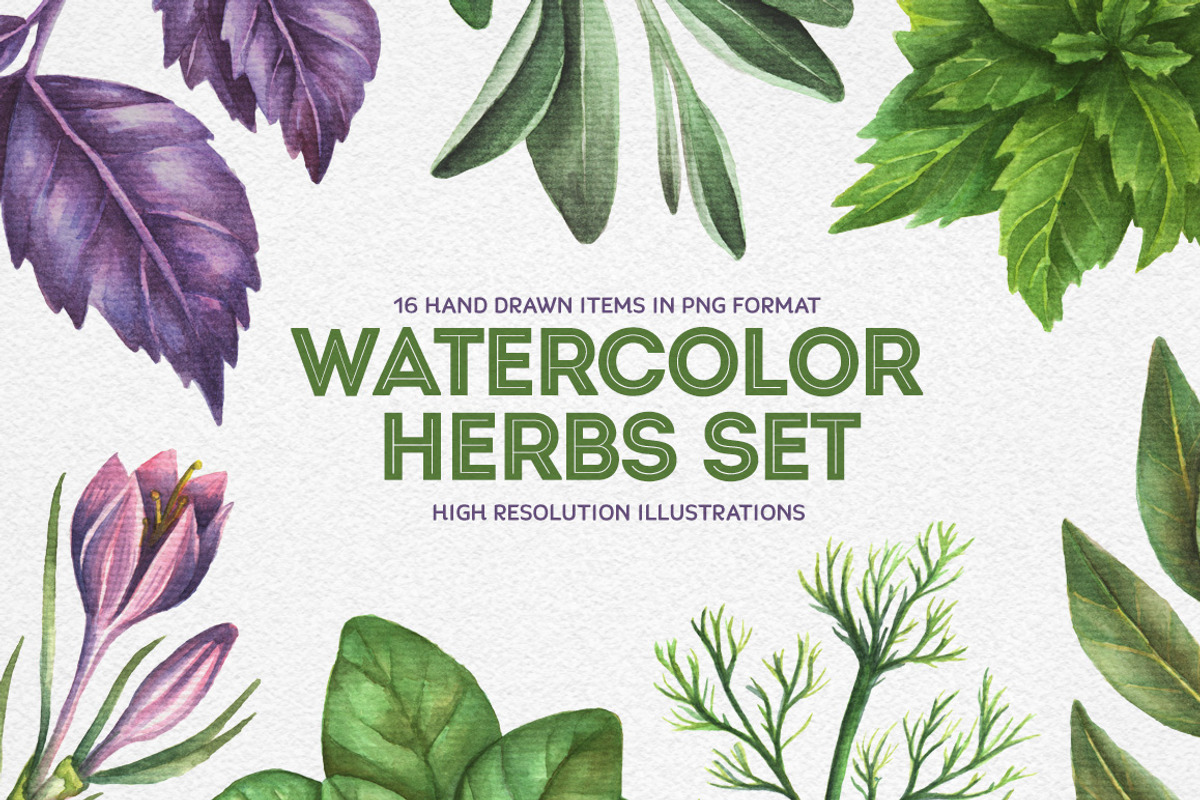 Watercolor Herbs Set, a Food Illustration by Chelovector (Photo 1 of 3)
