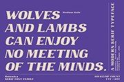 Omenica - Serif font Family, a Serif Font by Artistic & Unique (Thumbnail 10 of 12)