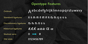 Ninova, a Sans Serif Font by Fontuma (Thumbnail 7 of 12)