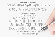 Writing Signature | Script Font, a Handwritten Font by Scratchones (Thumbnail 7 of 9)