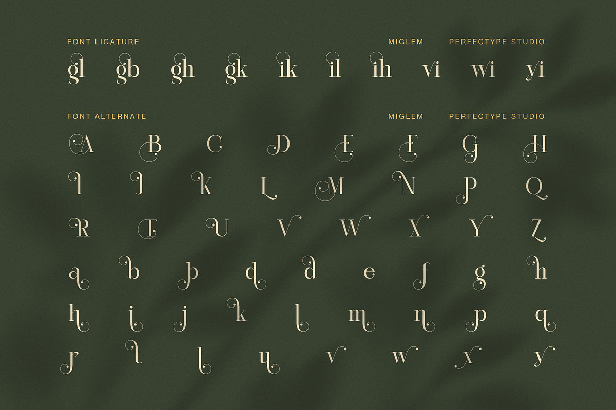 Miglem Elegant Ligature Serif Font, a Serif Font by Perfectype (Photo 8 of 8)