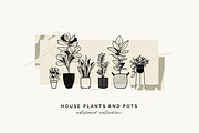 House Plants and Pots Collection, an Illustration by imajineko (Thumbnail 1 of 9)