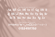 Hougthon - Modern Handwritten Serif, a Handwritten Font by overlaytemplates (Thumbnail 4 of 5)