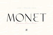 The Modern Typography Bundle, a Serif Font by Ivan Rosenberg (Thumbnail 7 of 58)