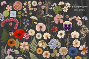 Herbarium, Handmade Paper Design Kit, an Object Graphic by DreamoraArt (Thumbnail 3 of 9)
