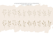 Florals & You Botanical Drawings, a Decorative Illustration by Pigment Café (Thumbnail 2 of 5)