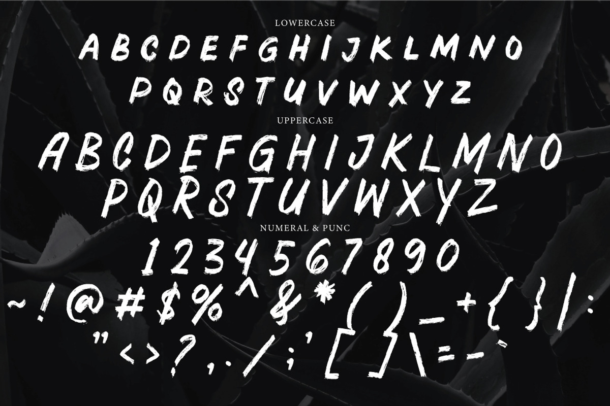 Page Maker - Handwritten Brush, a Handwritten Font by tebaltipislab (Photo 6 of 10)