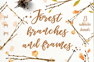 Forest Branches And Frames