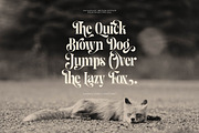 Great Font Bundle, a Font by MageType (Thumbnail 20 of 22)