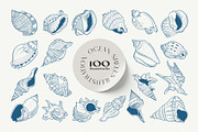 Ocean Shells Illustration, an Object Illustration by KetteCreate (Thumbnail 10 of 17)
