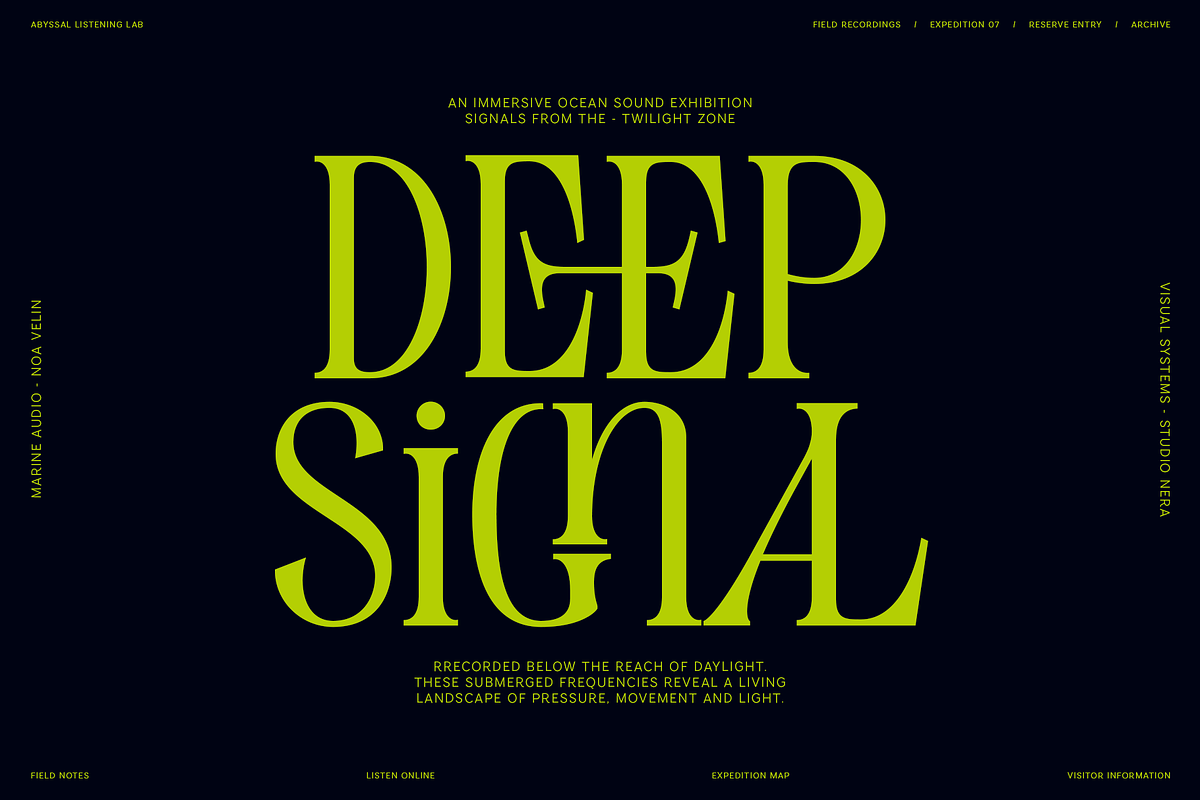 Evertype - Display Serif Font Family, a Serif Font by VP Fonts (Photo 4 of 32)