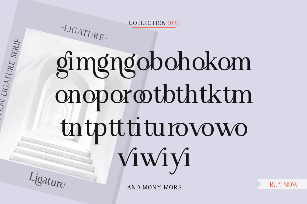 Angilena, a Serif Font by Mantype Studio (Photo 11 of 14)