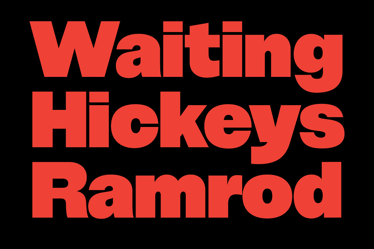 Corta, a Sans Serif Font by Flavortype (Photo 4 of 18)
