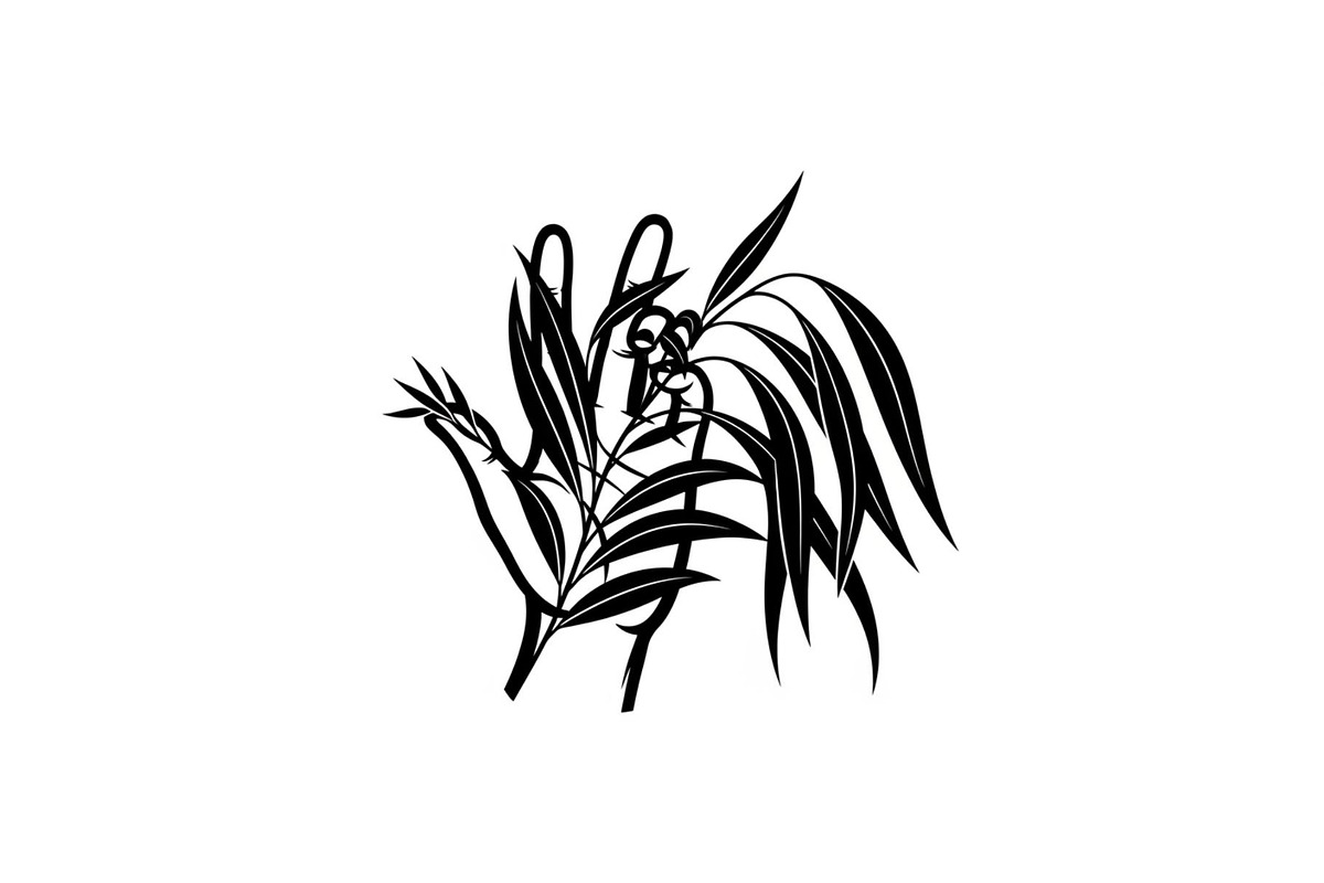 Hand Plant Growth Bundle, an Illustration by yasushie (Photo 24 of 31)