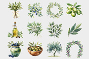 Watercolor Olive Clipart, a Seasonal Illustration by Design Market (Thumbnail 3 of 5)
