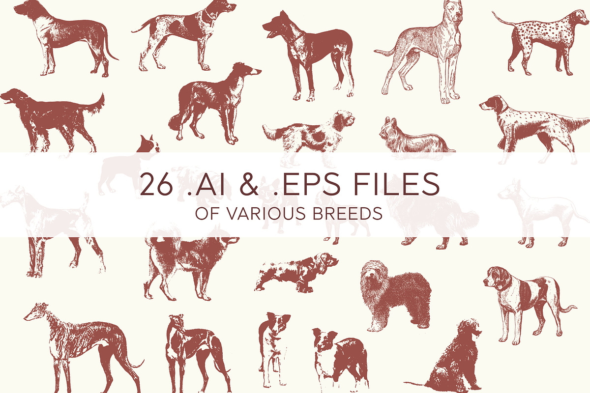 VINTAGE DOGS | 26 Vectors, a Graphic by Britt & Kit (Photo 2 of 2)
