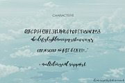Dream Script with Swashes, a Script Font by Beck McCormick (Thumbnail 8 of 11)