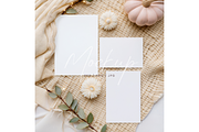Creamy Autumn Card Suite Mockup, a Product Mockup by TatiMockup (Thumbnail 1 of 3)