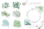 Fresh greenery frames and patterns, a Decorative Illustration by marie dricot (Thumbnail 10 of 16)