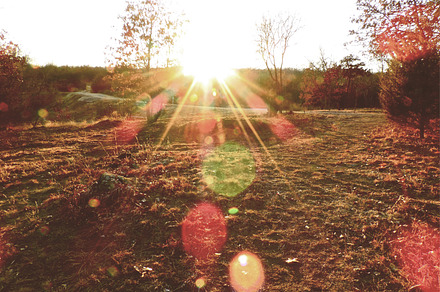 Sunset Lense Flare