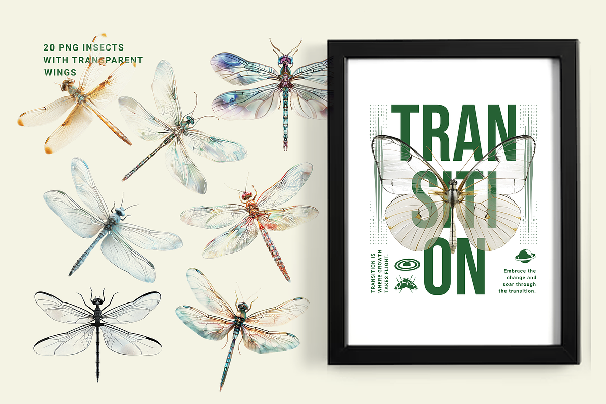 Transparent Wings Contemporary Art, an Object Graphic by Red Ink (Photo 4 of 8)