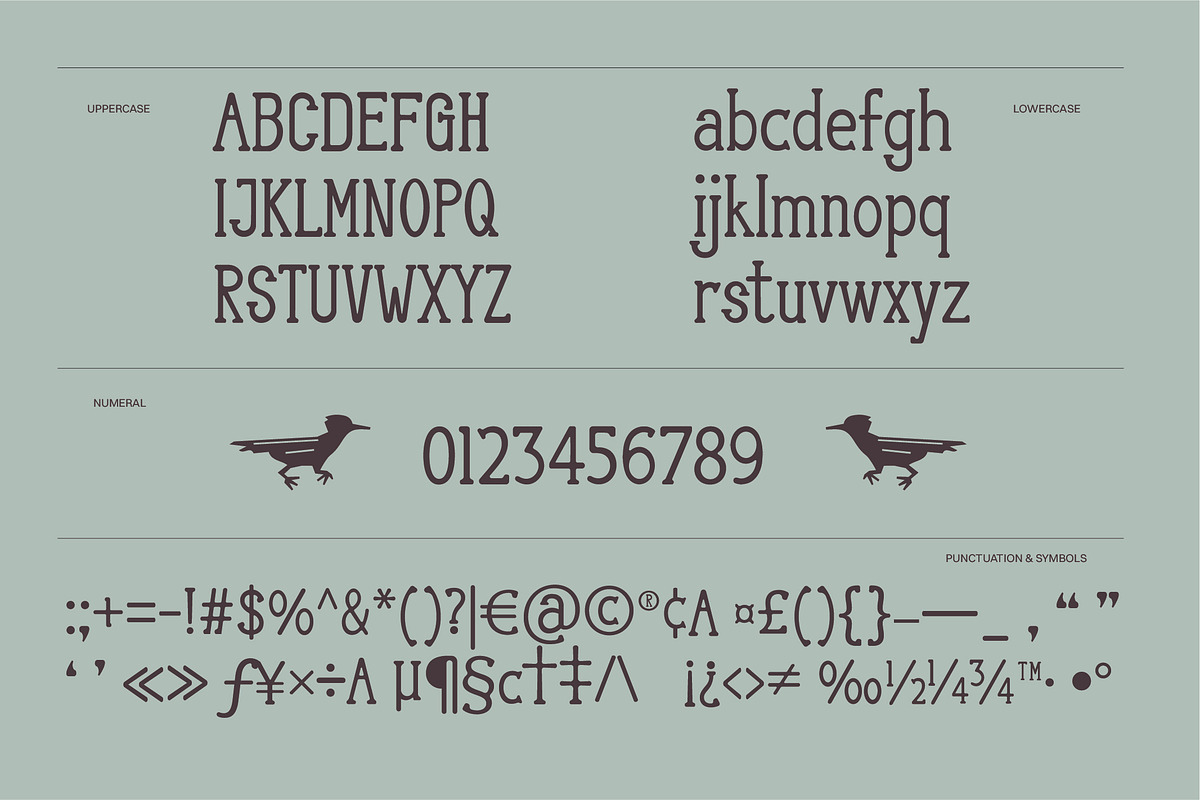 Canyonell - Country Display Typeface, a Serif Font by riff.type (Photo 3 of 10)