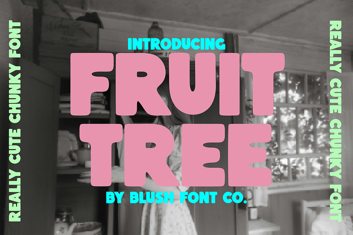FRUIT TREE Fun Chunky Display Font, a Sans Serif Font by Blush Font Co. (Photo 1 of 6)