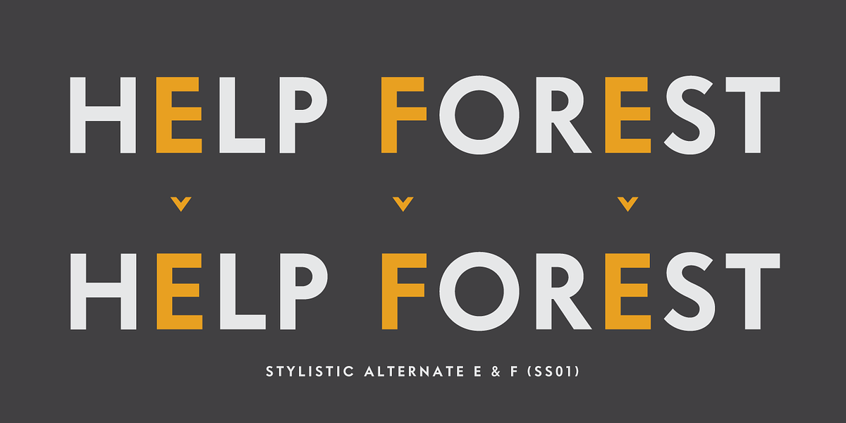 Intervogue, a Sans Serif Font by Miller Type Foundry (Photo 10 of 14)