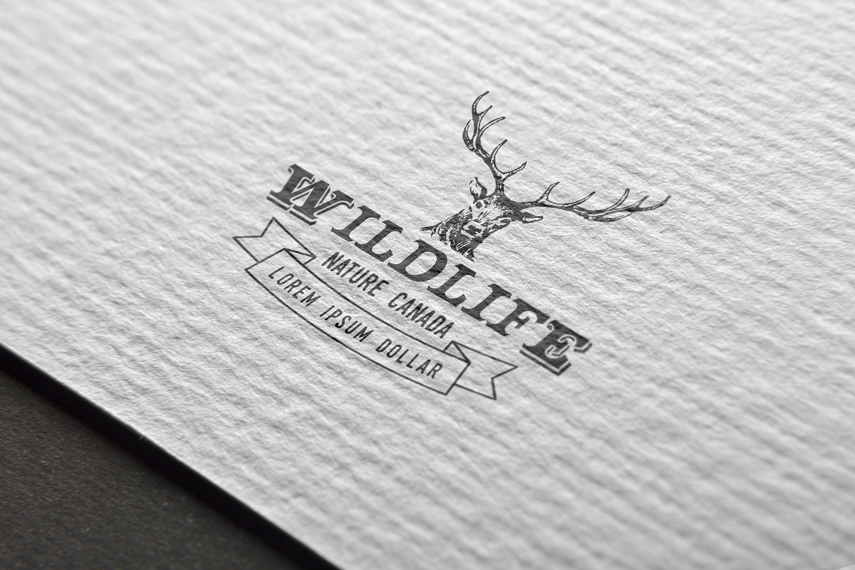 101 Outdoor Logos Bundle, a Graphic by Red Monkey (Photo 5 of 9)