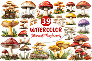 Botanical Autumn Mushrooms Clipart, an Illustration by Dream Creation (Thumbnail 1 of 7)