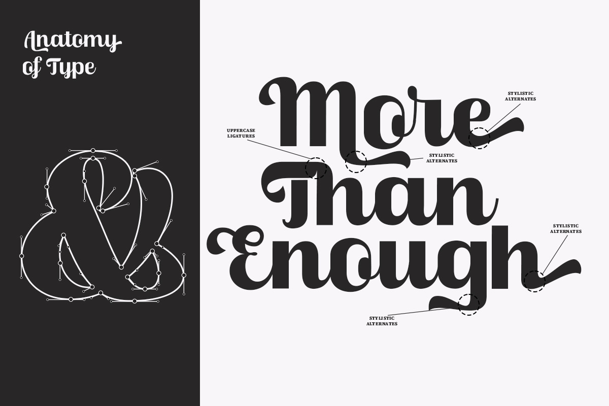 Skinno — A Variable Script Typeface, a Script Font by Skinny Type (Photo 4 of 10)