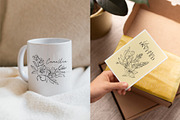 Minimalistic Spring Flowers Line Art, a Decorative Illustration by La Petite Line Art (Thumbnail 6 of 12)