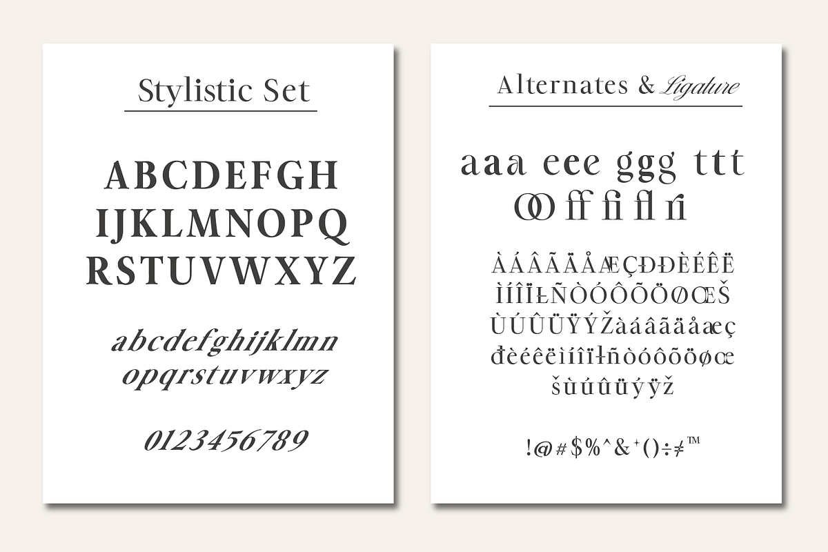 The MOON – Modern & Classic Serif +, a Serif Font by xdCreative (Photo 9 of 12)