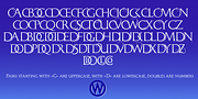 Monogramma, a Serif Font by Wiescher-Design (Thumbnail 3 of 14)
