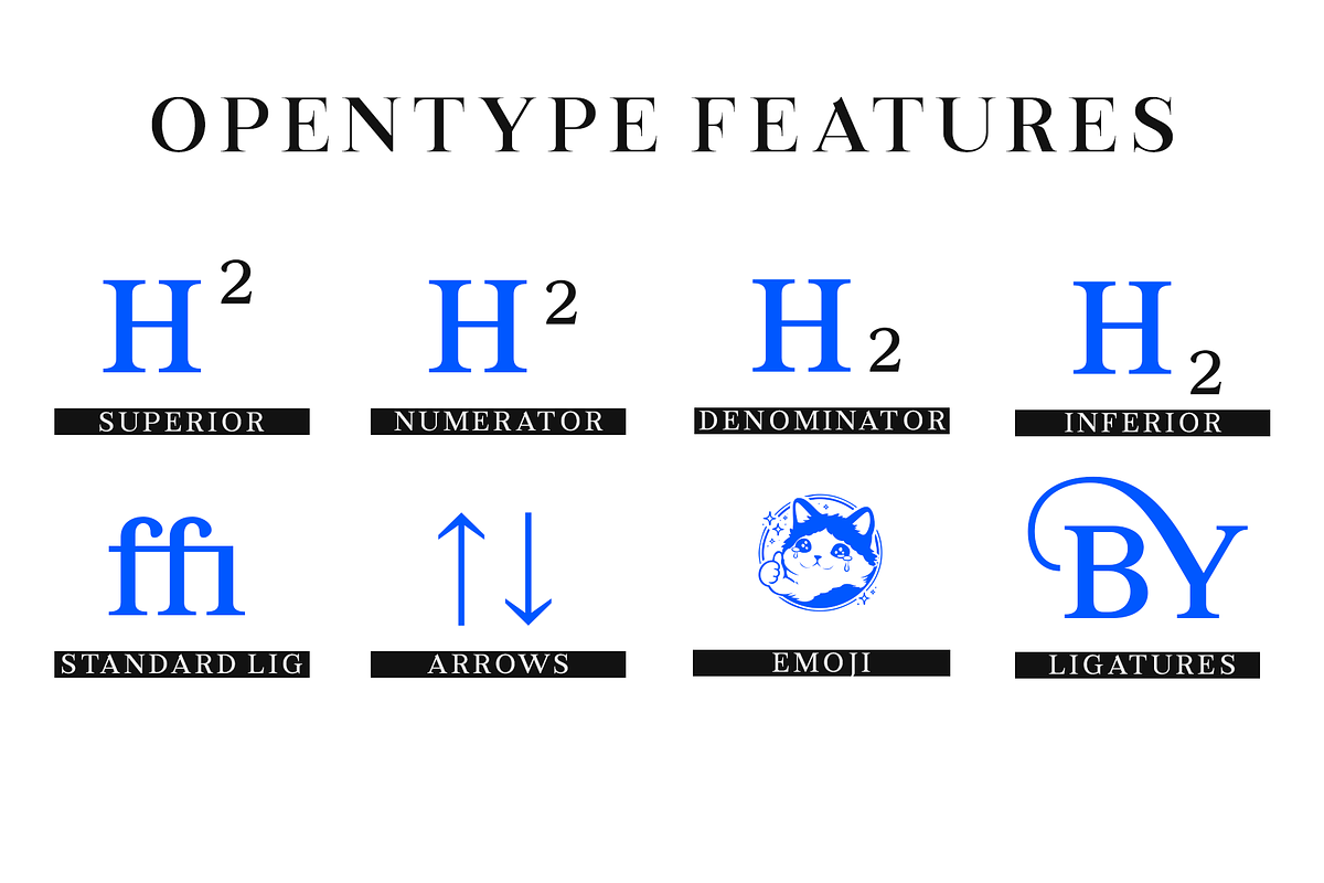 Bia | Transitional Serif & Sans, a Serif Font by By Kineks (Photo 16 of 18)