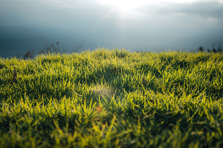 Green fields on the mountains in summer, a Nature Photo by Art Rachen