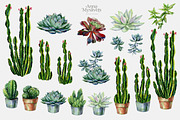 Cacti & Succulents, a Decorative Illustration by Anna Myslivets Art (Thumbnail 3 of 9)