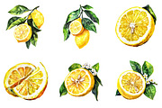 Watercolor Lemon Clipart, an Illustration by SinaCreation (Thumbnail 2 of 7)